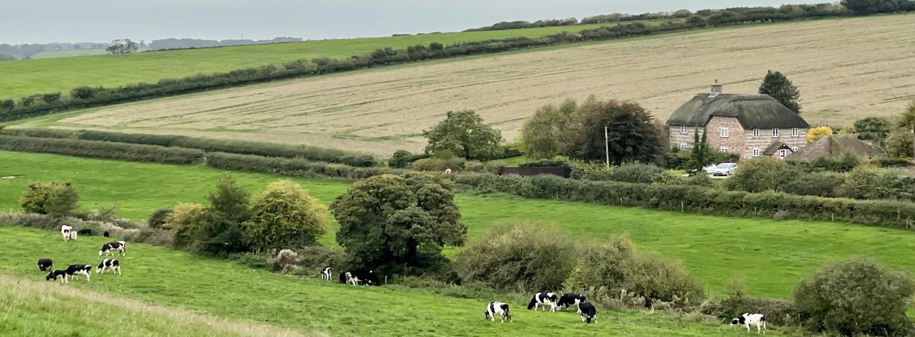 Picture of British farmland